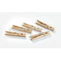 Set of 20pcs mini brich wooden pegs